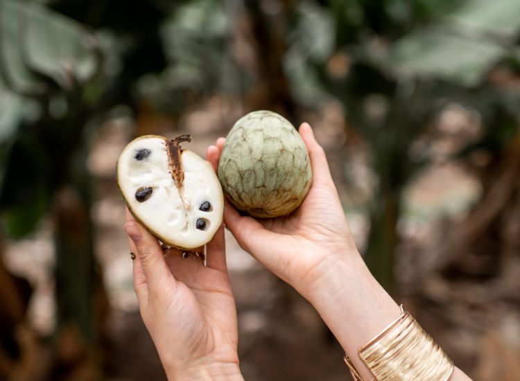 Trésors du Monde Le Guide Ultime des Super-aliments Exotiques de Printemps